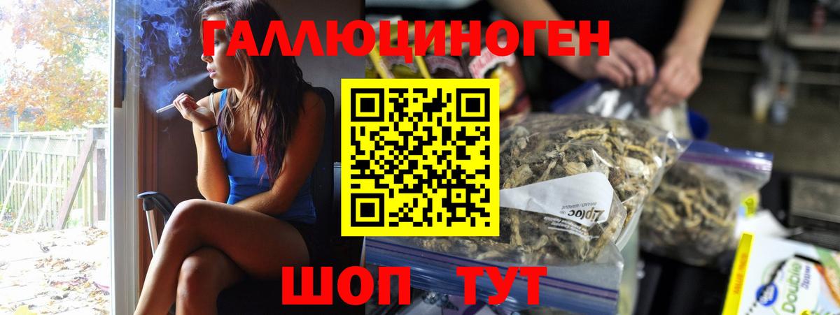 Псилоцибиновые грибы Psilocybine cubensis  Галлюциногенные грибы ЛСД  Нальчик  Вход с VPN 